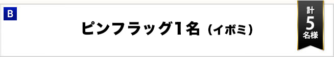 B：優勝者サイン入り大会キャップ　５名様