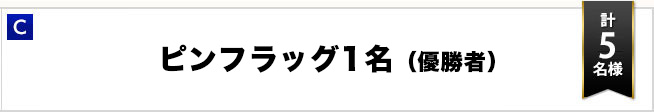 C：優勝者サイン入り大会オリジナルトートバッグ　５名様